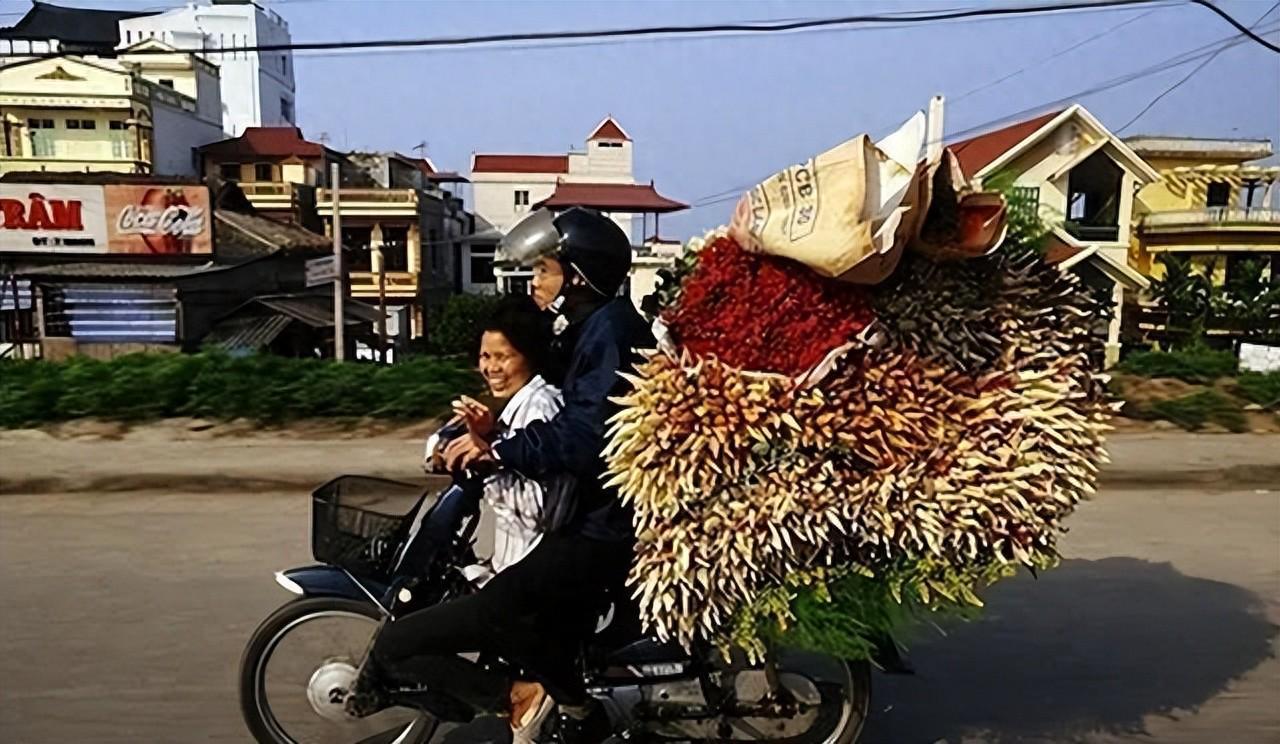 乐竞体育登录-回国后我才敢说：越南是我去过的所有国家中，最被低估的